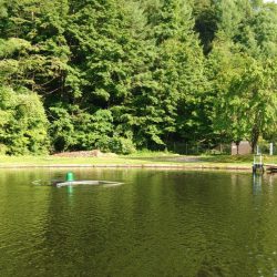 エキスパートエリアで大物狩り ～平谷湖フィッシングスポット～